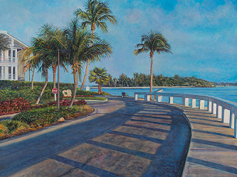 A Morning Stroll in Captiva