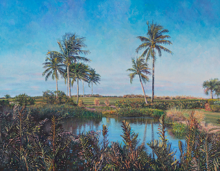 Captivated in Captiva