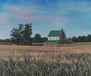Cornfield off Mt. Air Rd.