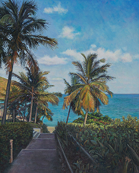 A View in the Virgin Islands