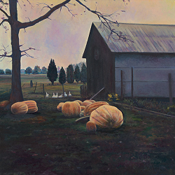 Very Big Pumpkins!