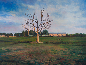Dead Tree at Spring Hills Farm