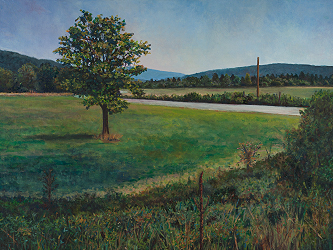 Summer Afternoon in Somerset, PA