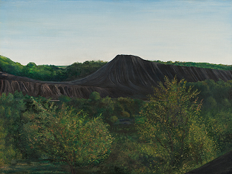The Crabtree Slate Dump