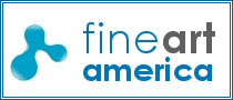 Fine Art America